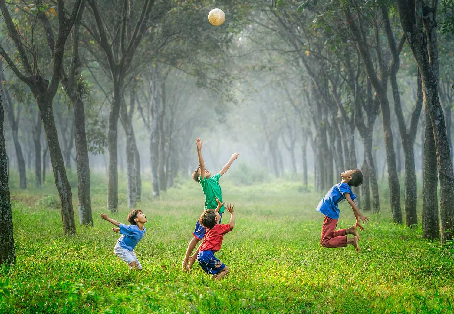 Move It!  The Influence of Movement on Learning, Jennifer Rosinia